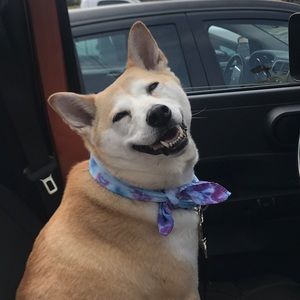 Meet your Posher, Summer